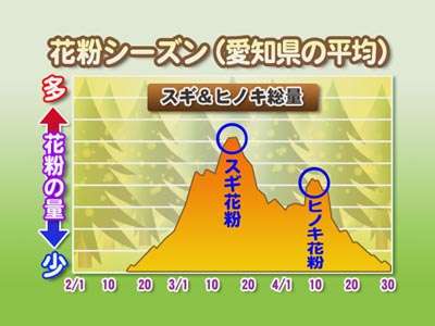 スギ花粉が飛びやすい気象条件とは 達人に訊け 中日新聞web