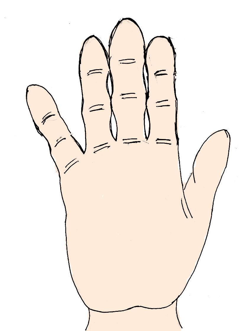 手相の話題54 7種類の手の形 手型 で分かるあなたの性格2 達人に訊け 中日新聞web