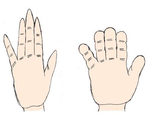 手相の話題54 7種類の手の形 手型 で分かるあなたの性格2 達人に訊け 中日新聞web
