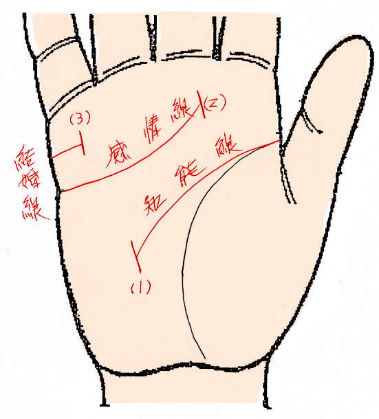 手相の話題78 身に起きる不幸を 障害線 で予測しよう 達人に訊け 中日新聞web