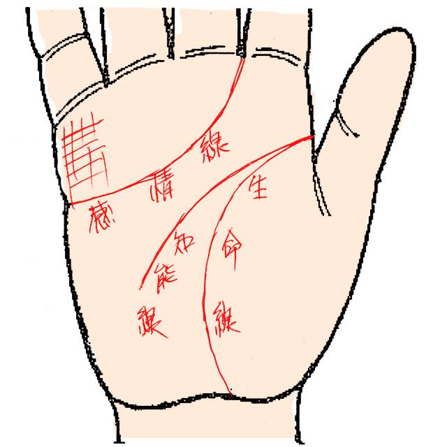 手相の話題12 あったら要注意 恋愛トラブルの多さを示す 格子状結婚線 達人に訊け 中日新聞web