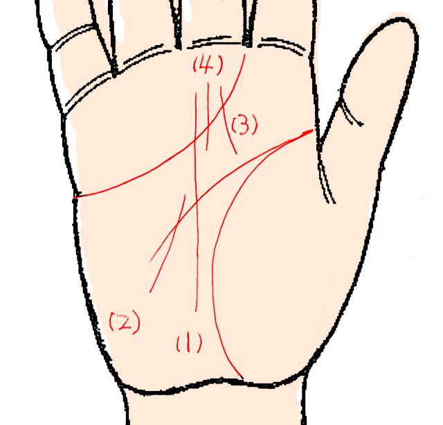 手相の話題15 あなたはリーダーor公務員 運命線 から生き方を学ぼう 達人に訊け 中日新聞web