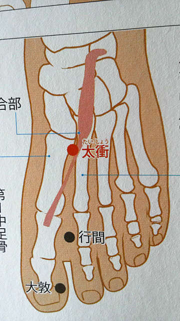 経穴と経絡は 基本の3つ から覚えよう 足の陰編 達人に訊け 中日新聞web