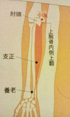 全身を巡る気の旅に出よう その１３ 腕の後ろ側を走る小腸経 ２ 達人に訊け 中日新聞web
