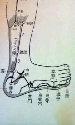 ツボ くるぶし 脚の側面の痛みは足つぼマッサージで解決！原因、効果、注意点を解説