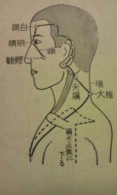 全身を巡る気の旅に出よう その25 頭 顔 の側面に働きかける三焦経の旅 ２ 達人に訊け 中日新聞web