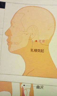 後ろ 頭 痛い 左 が 左の後頭部が痛い頭痛のタイプの３つの原因