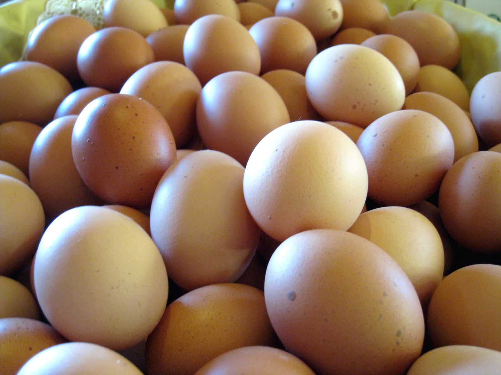 ゆで卵は一日何個まで食べて良い 驚きの新常識とは 達人に訊け 中日新聞web