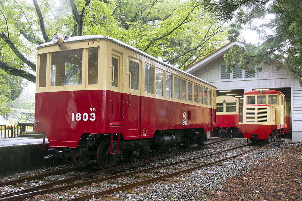 尾小屋鉄道開業100周年でキハ３が里に降りた 達人に訊け 中日新聞web