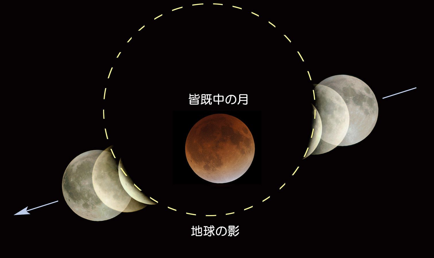 月食とは 11月19日の部分月食に向けて 達人に訊け 中日新聞web