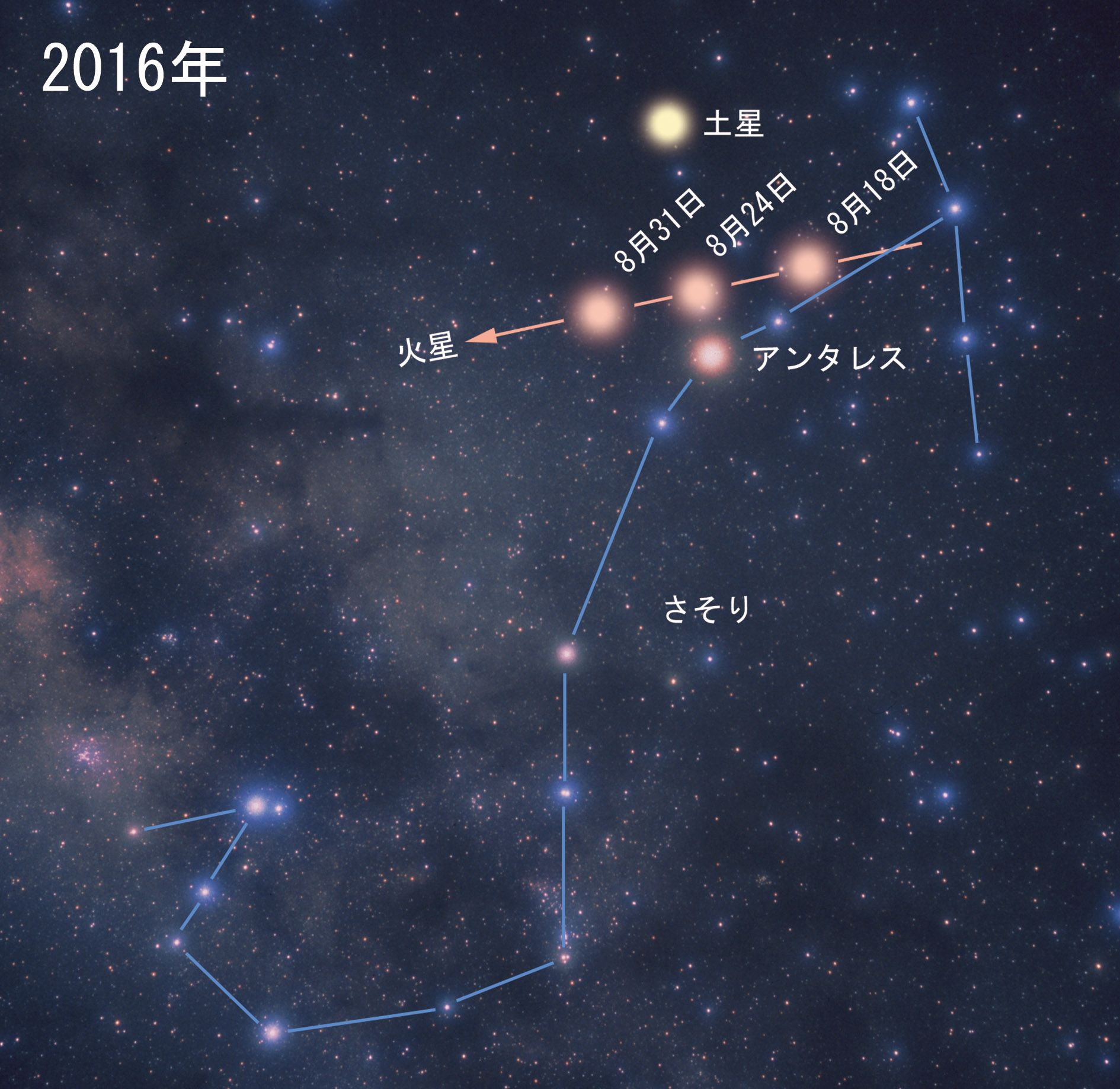 アンタレスも超新星爆発する？！：達人に訊け！：中日新聞Web