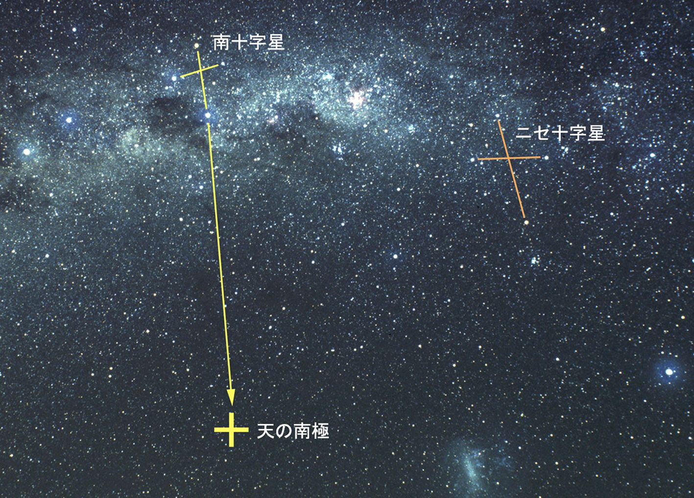 サボテンに挟まれた南十字星 〜 星空の写真 | たのしい天体観測