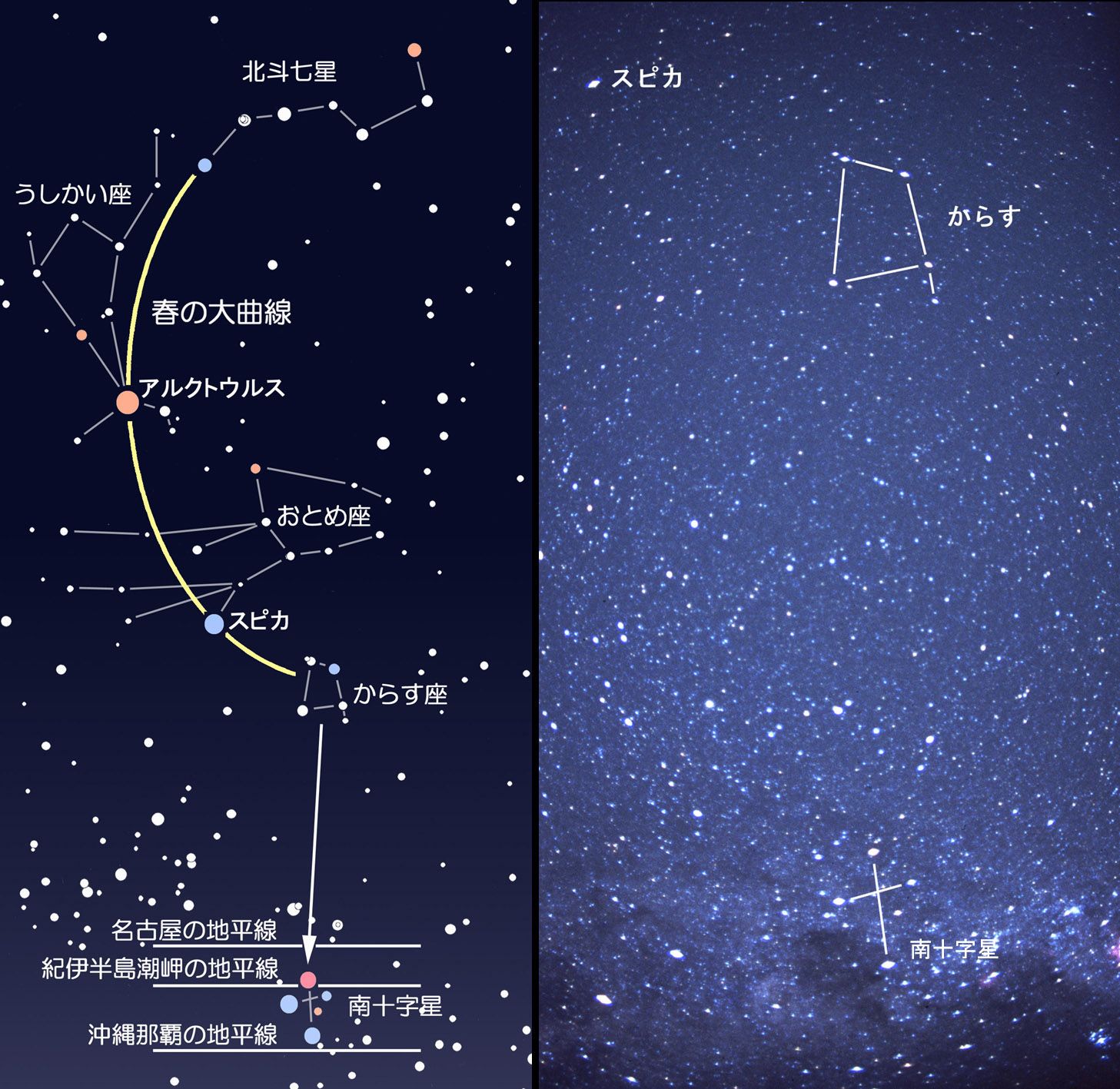 南十字星を見に行こう！：達人に訊け！：中日新聞Web