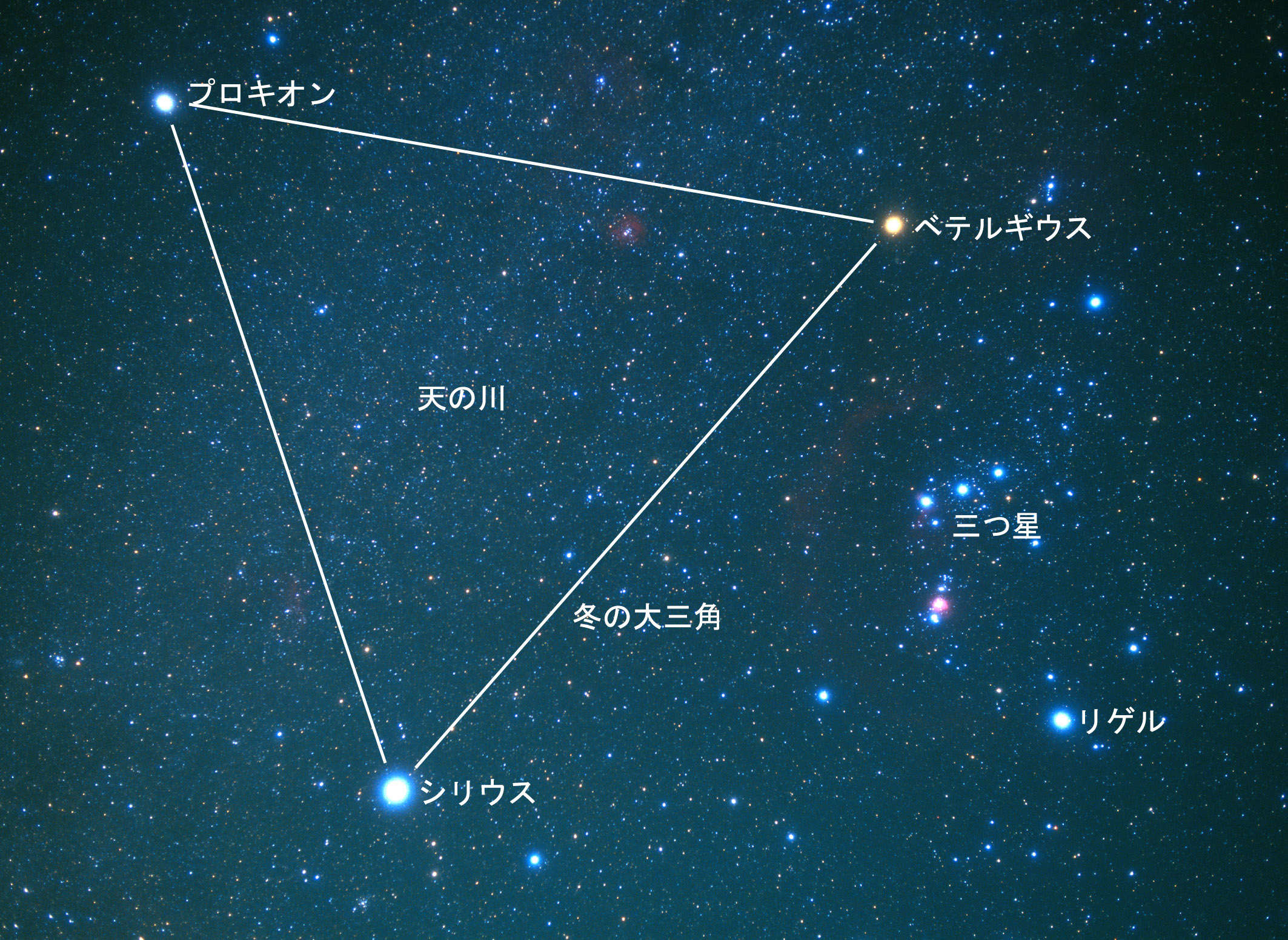 オリオンの三ツ星とピラミッドの深い関係 2 達人に訊け 中日新聞web
