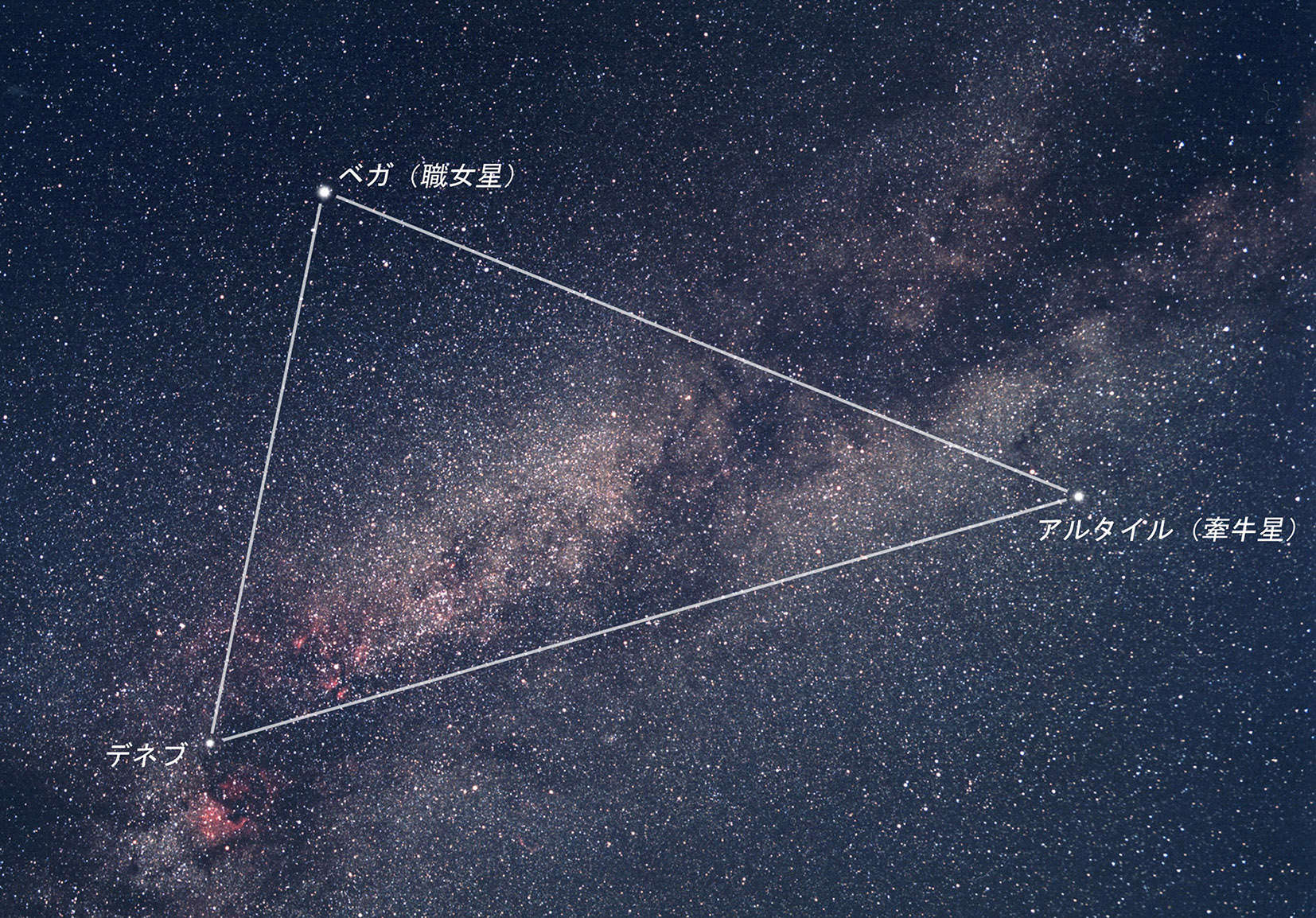 夏の大三角 その２ アルタイルとデネブ 達人に訊け 中日新聞web