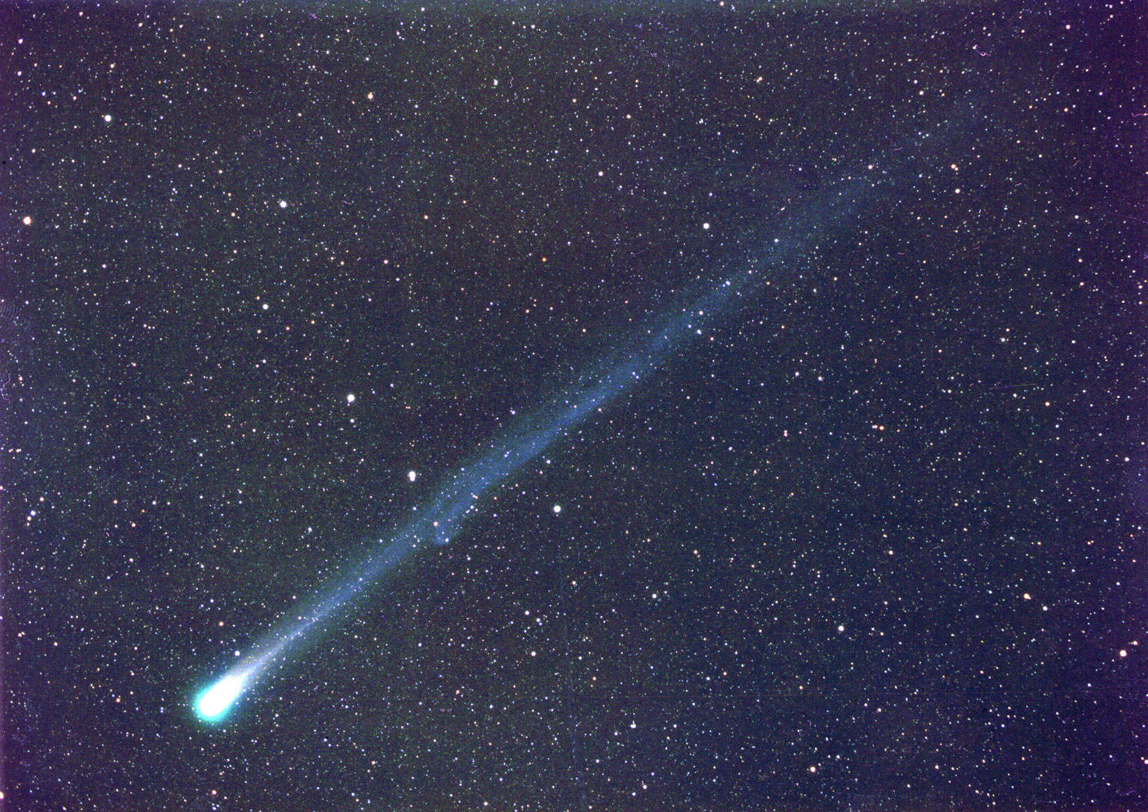 カタリナ彗星が肉眼で見えるかも 達人に訊け 中日新聞web