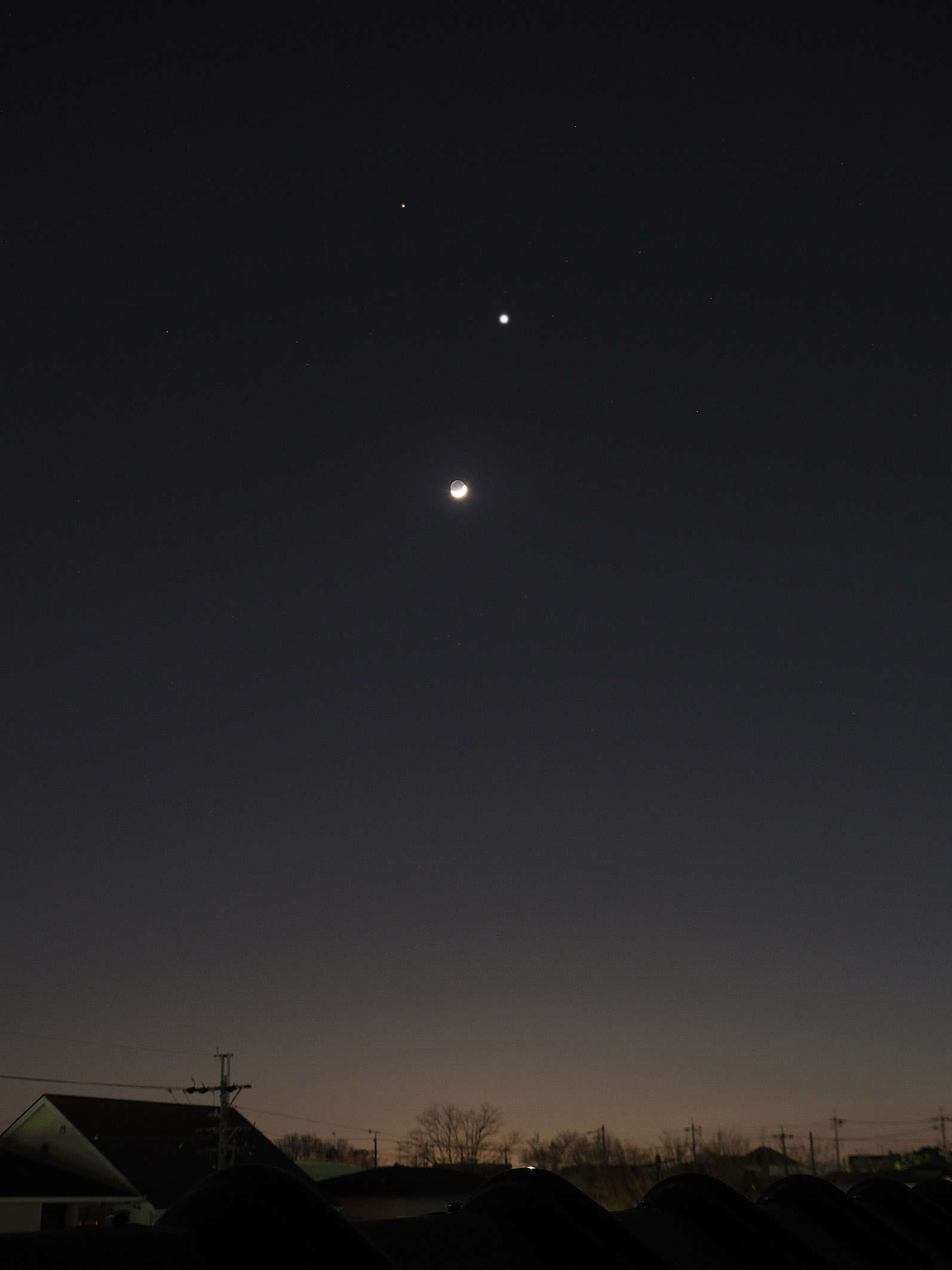 金星がめちゃ明るい 達人に訊け 中日新聞web