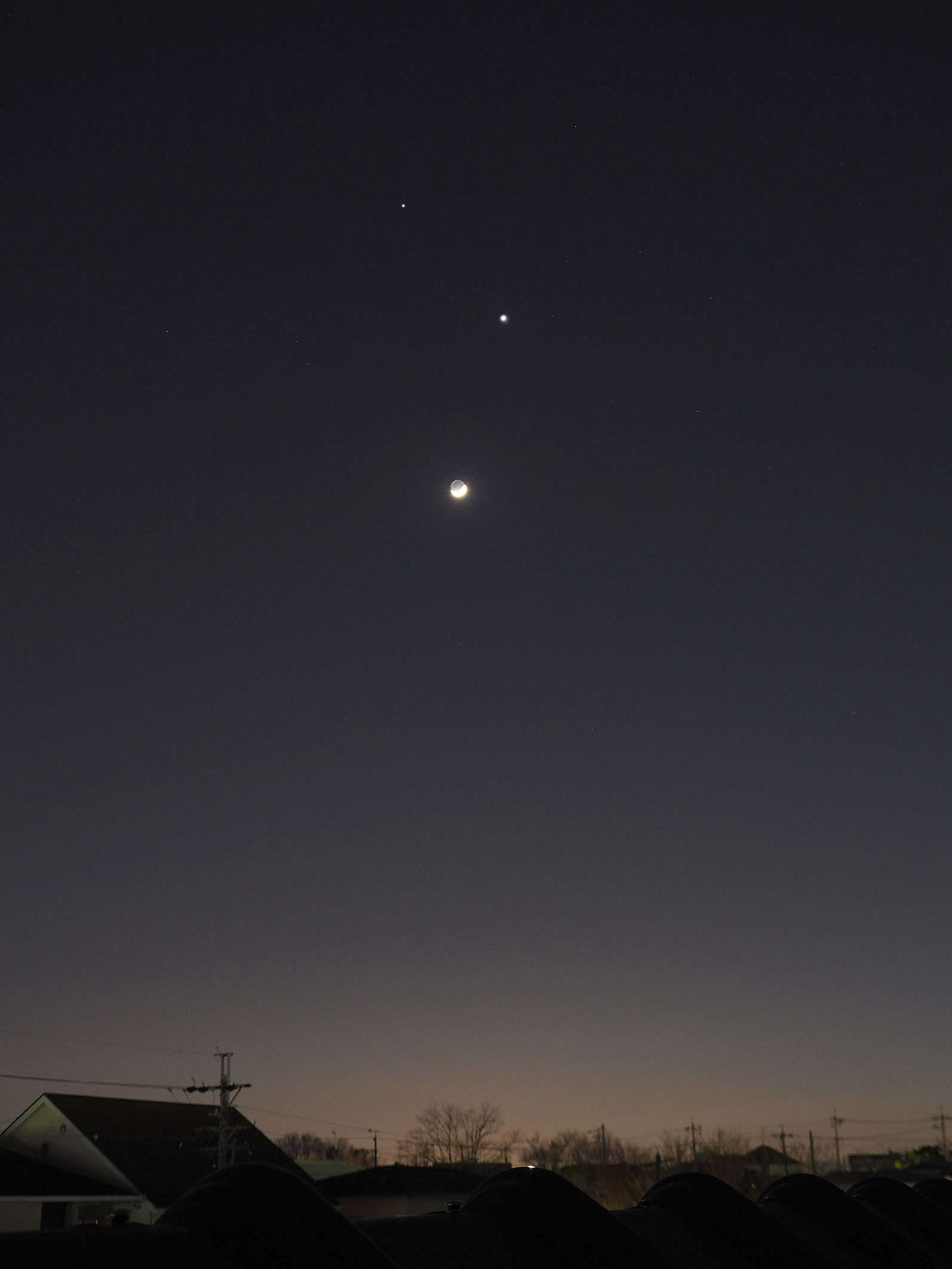 金星が夕空に還って来た 達人に訊け 中日新聞web