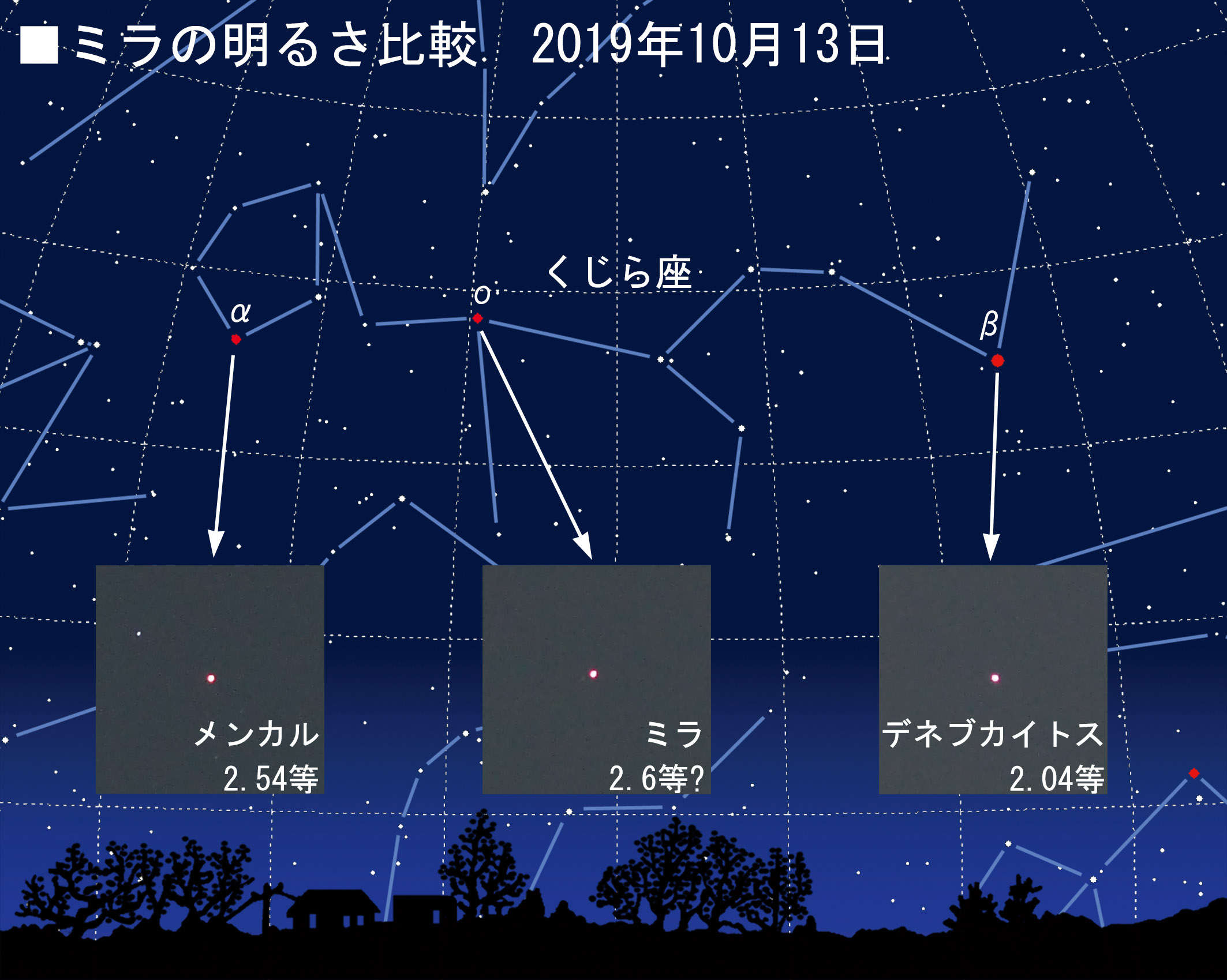 くじら座の変光星ミラがいつにも増して明るい 達人に訊け 中日新聞web