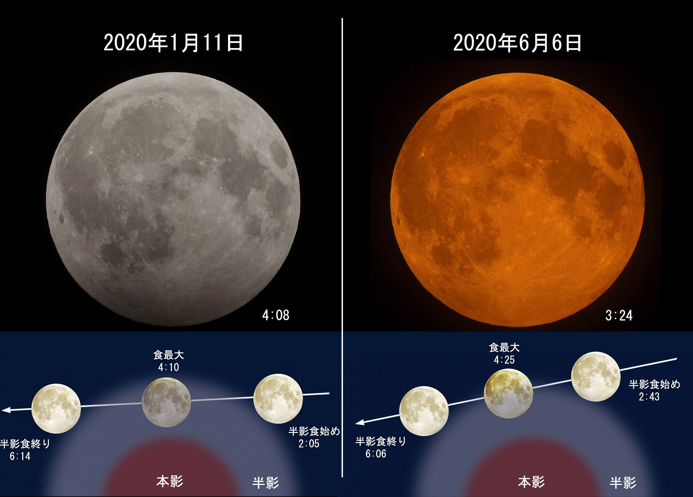 11月30日の宵の半影月食：達人に訊け！：中日新聞Web