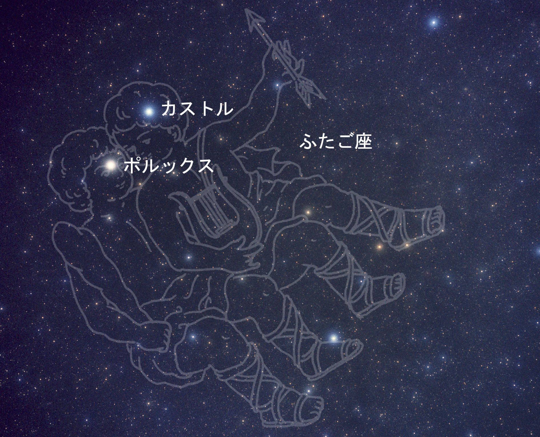 冬のペアの星を探そう 達人に訊け 中日新聞web