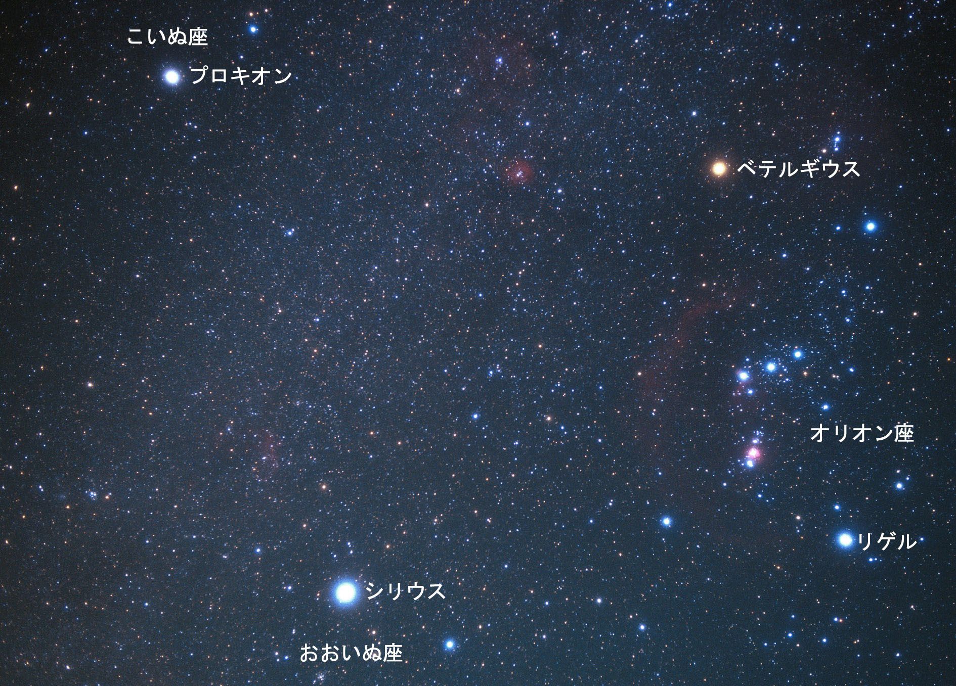 冬のペアの星を探そう 達人に訊け 中日新聞web