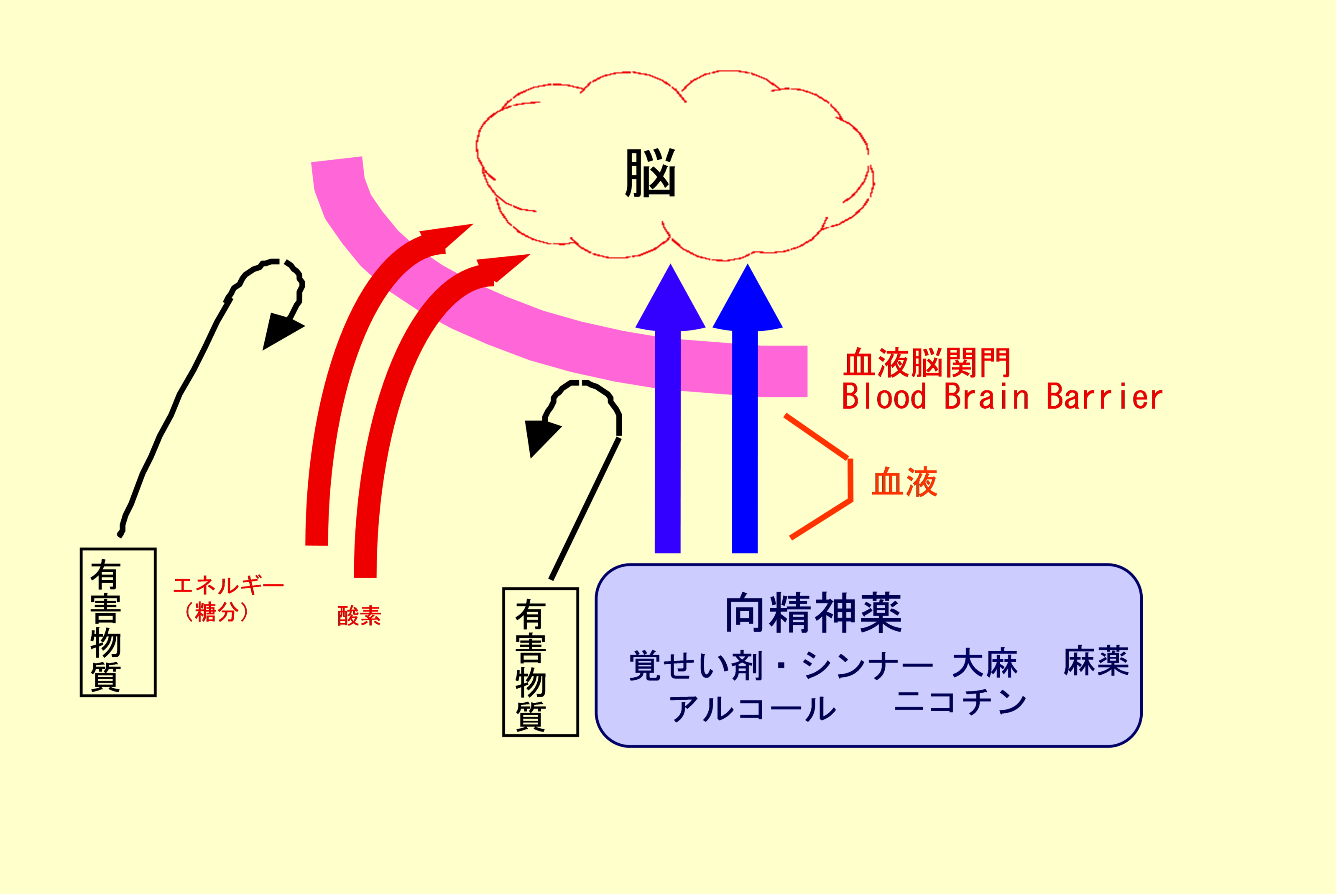 薬物乱用について 薬物乱用 って何 その１ 薬物依存 って何 達人に訊け 中日新聞web