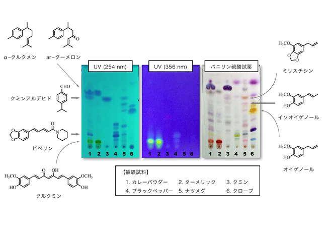 食品と薬学 1 カレーに含まれる健康成分を探す 達人に訊け 中日新聞web