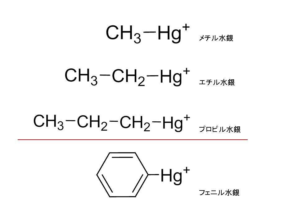 何で今ごろ 水銀に関する水俣条約 ２ 水俣病の原因はメチル水銀で 無機水銀ではありません 達人に訊け 中日新聞web