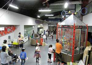科学館と併せて、隣接する桃山公園で遊ぶのもおすすめ。公園内には、幼児向け複合遊具やローラー滑り台など子どもが楽しめる設備が充実している。