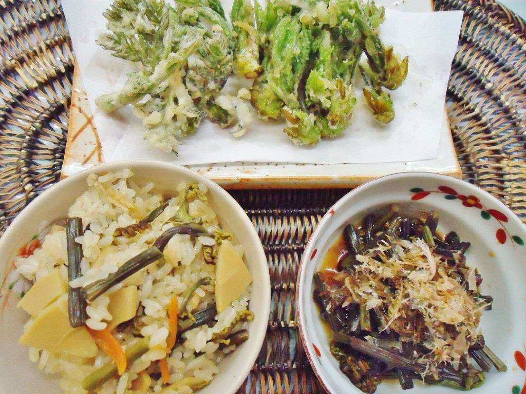 新緑の季節 山菜採りをして料理をしよう 達人に訊け 中日新聞web