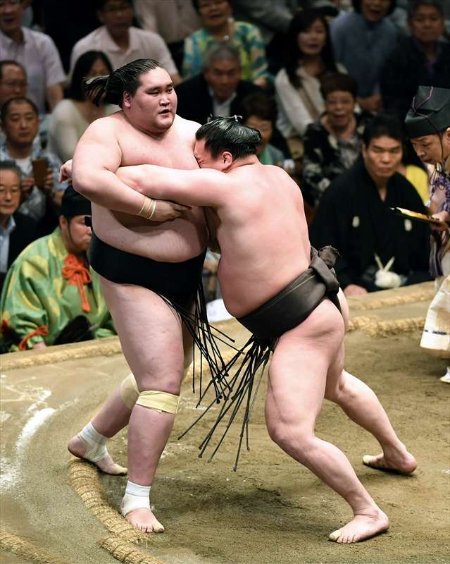 BA226 十八 力士 手形 大相撲 輪島貴乃花三重ノ海高見山青葉城富士桜