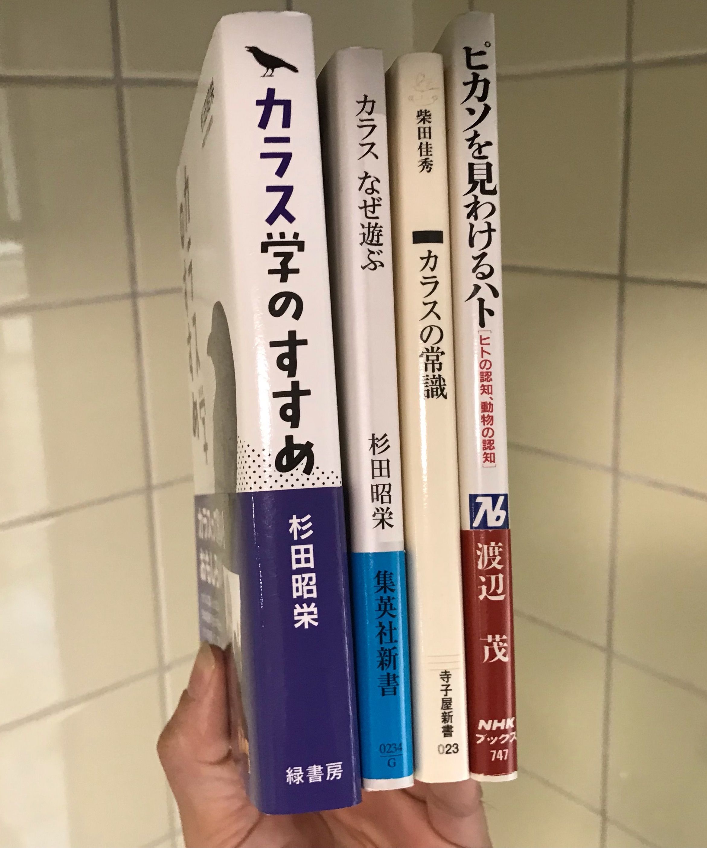 珍説！美術の始まりは700万年前？意味を待機する？：達人に訊け！：中