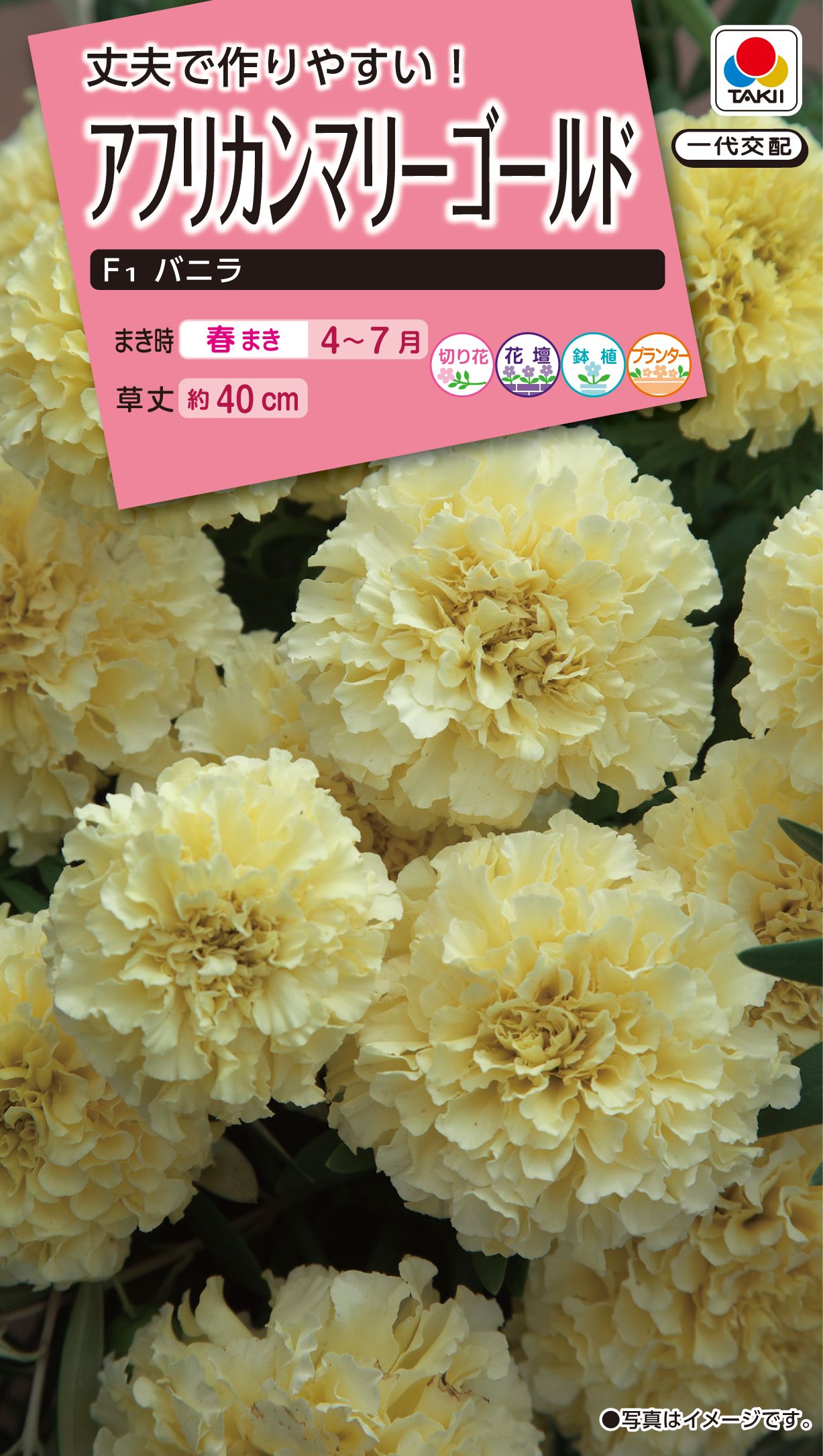 春のガーデニング 花３種のタネ プレゼント 中日新聞web