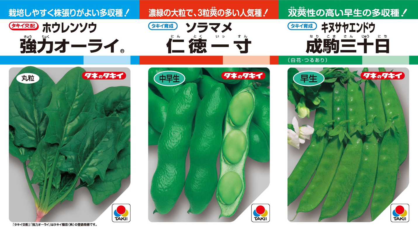秋まき野菜のタネ ３種セット プレゼント 中日新聞web