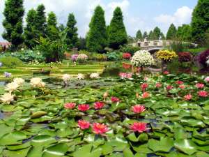 [滋賀県]草津市立水生植物公園みずの森